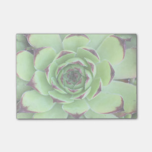 Post-it® Créer une photo allégée