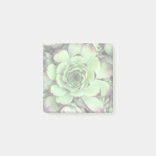 Post-it® Créez votre propre photo éclairée (Devant)