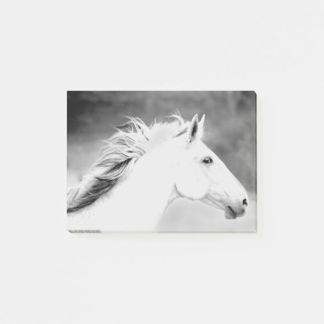 Post-it® Crinière de LIN26BW dans le Wind.tif (Devant)