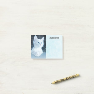 Post-it® Cuite Kitten blanc avec de beaux yeux bleus