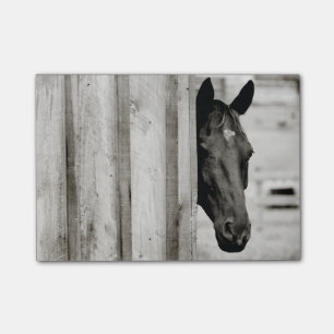 Post-it® Curieux Cheval noir