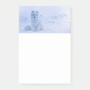 Post-it® Cute Arctic Fox sur Snowy Winter Arrière - plan