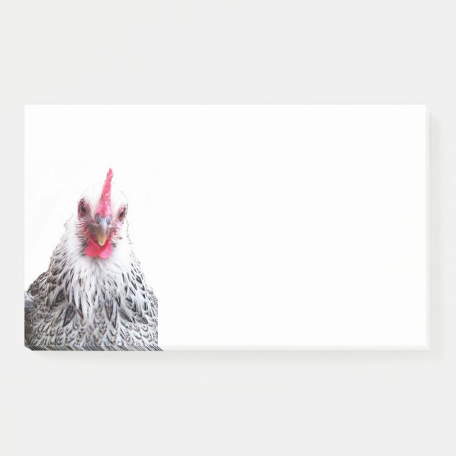 Post-it® Cute Bantam Cochin Hen Photo 10x6 Notes (Devant)