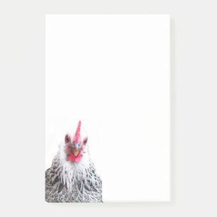 Post-it® Cute Bantam Cochin Hen Photo 4x6 Notes