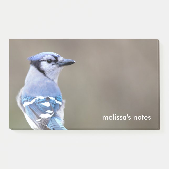 Post-it® Cute Bleu Jay Songbird sur Treestump (Devant)