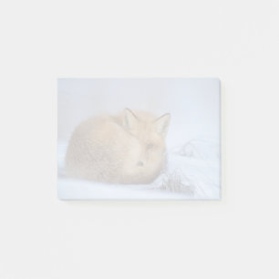 Post-it® Cute Little Fox Curling Up Winter Photo