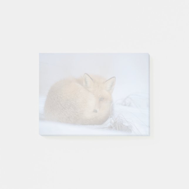 Post-it® Cute Little Fox Curling Up Winter Photo (Devant)