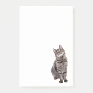 Post-it® Cute tabby Chat