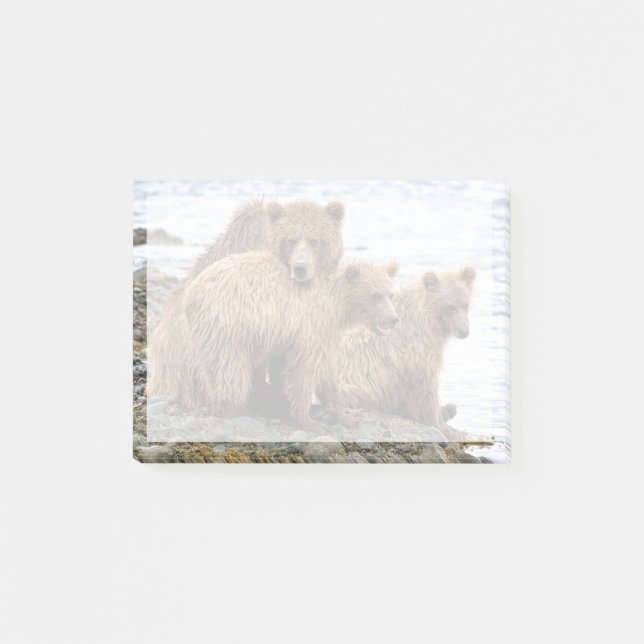 Post-it® Cutest Baby Animals | Bear & Cubs (Devant)