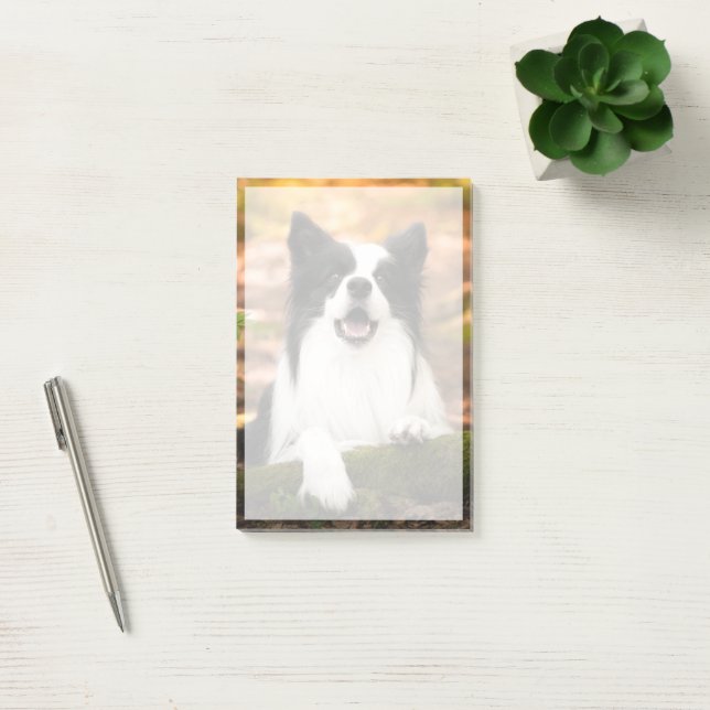 Post-it® Cutest Baby Animals | Black and White Border Colli (Bureau)