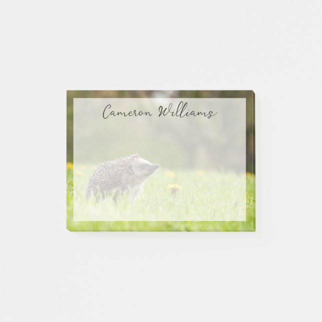 Post-it® Cutest Baby Animals | European Hedgehog (Devant)