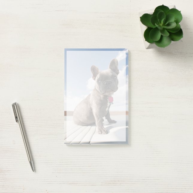 Post-it® Cutest Baby Animals | French Bulldog Boating (Bureau)