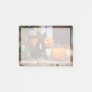 Post-it® Cutest Baby Animals   French Bulldog Halloween