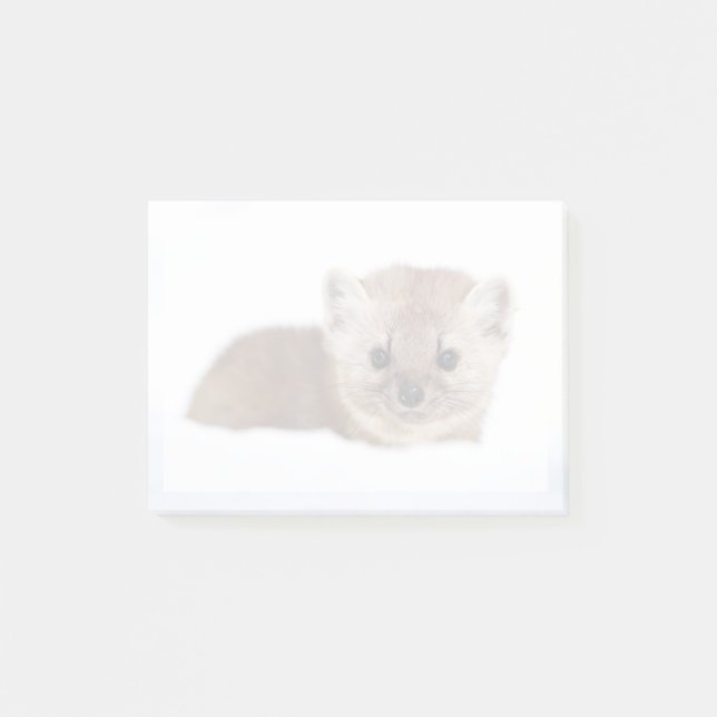 Post-it® Cutest Baby Animals | Pine Marten (Devant)
