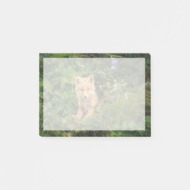 Post-it® Cutest Baby Animals | Red Fox at Umnak Alaska (Devant)