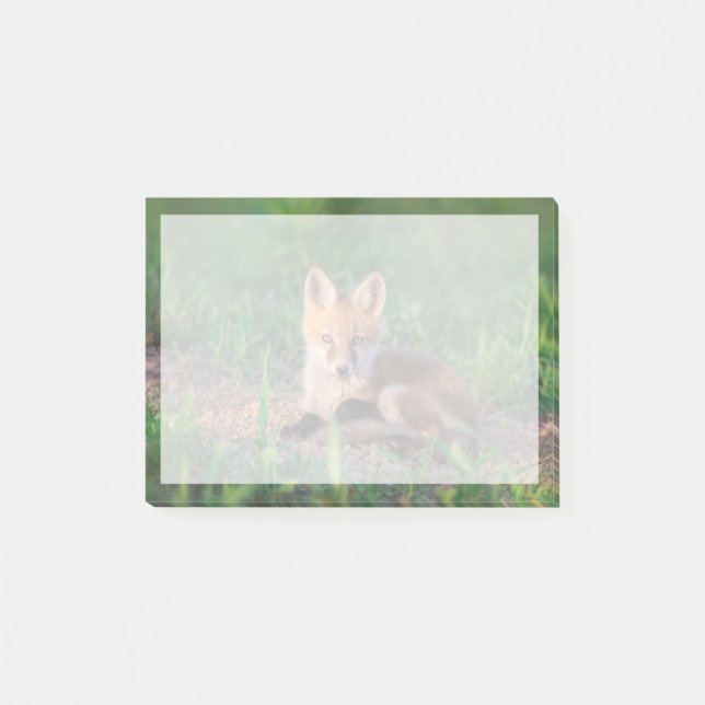 Post-it® Cutest Baby Animals | Red Fox Kit Relaxing (Devant)