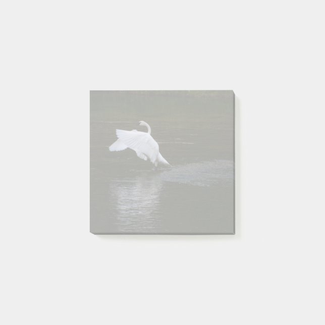 Post-it® Cygne trompette (Devant)