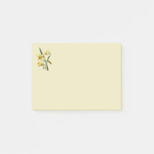 Post-it® Daffodier billet il note