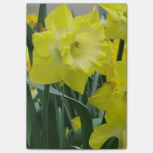 Post-it® daffodil-22.JPG
