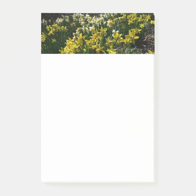 Post-it® Daffodiles jaunes et blancs Fleurs de printemps (Devant)