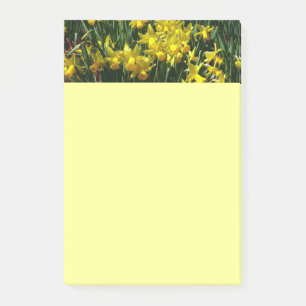Post-it® Daffodiles Jaunes I Fleurs De Printemps Cheveux
