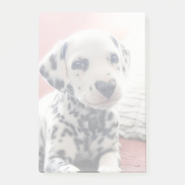 Post-it® Dalmatien Nez de Coeur (Devant)