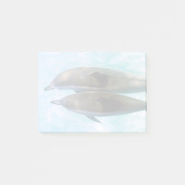 Post-it® Dauphins d'araignée| Oahu Hawaii (Devant)