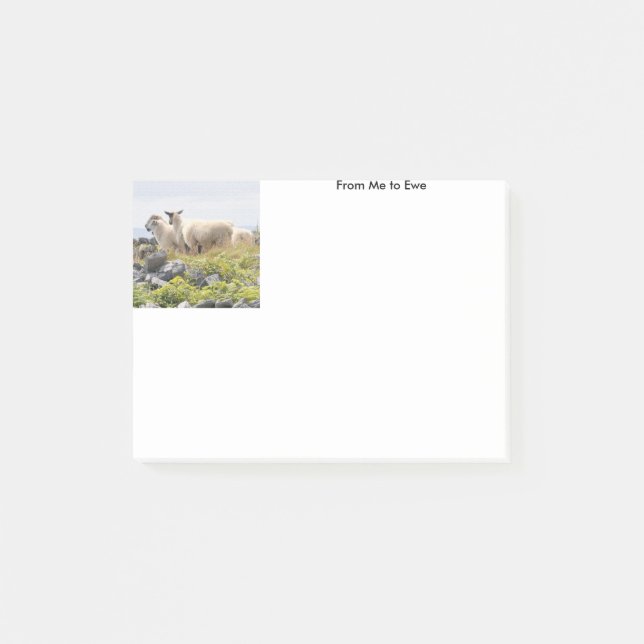 Post-it® De moi à Ewe (Devant)