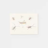 Design vintage avec sept insectes différents