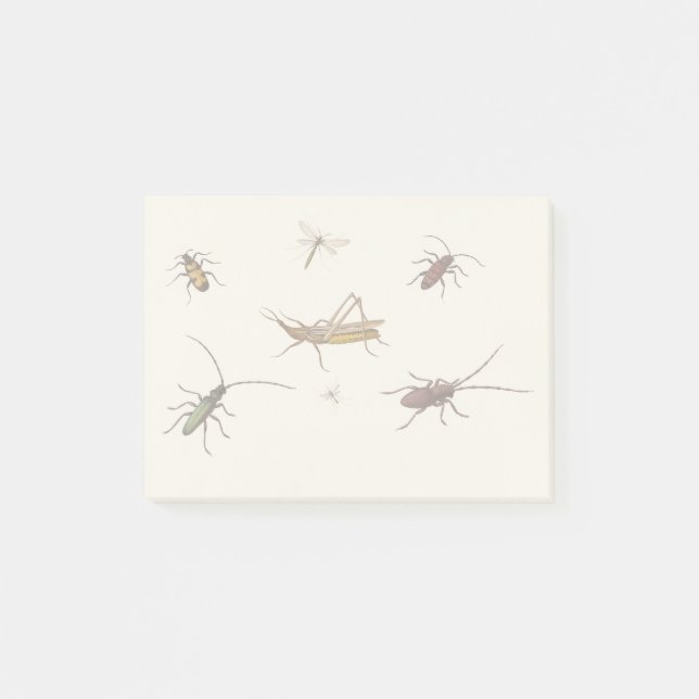 Post-it® Design vintage avec sept insectes différents (Devant)