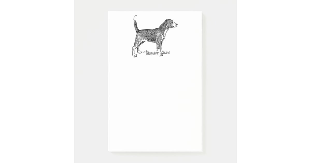 Post It Dessin Elegant De Chien De Beagle Mignon Zazzle Fr