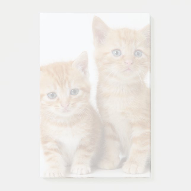 Post-it® Deux chatons adorables (Devant)