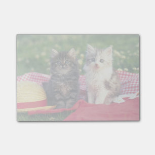 Post-it® Deux Chatons Assis Sur Une Couverture Rouge