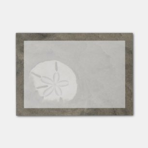 Post-it® Dollar de sable (Echinarachnius parma)