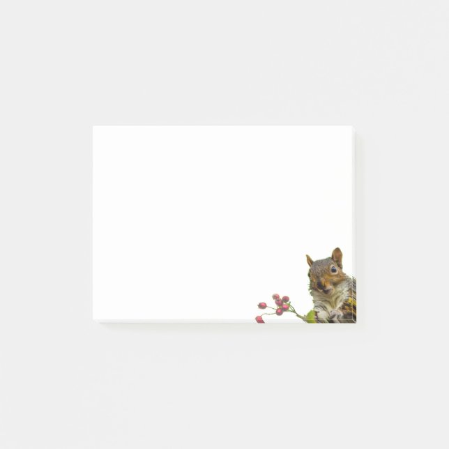 Post-it® Écureuil sauvage mignon sur fond blanc (Devant)