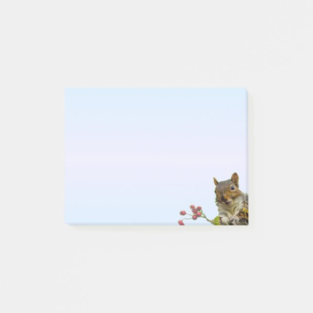 Post-it® Écureuil sauvage mignon sur un dégradé bleu clair (Devant)