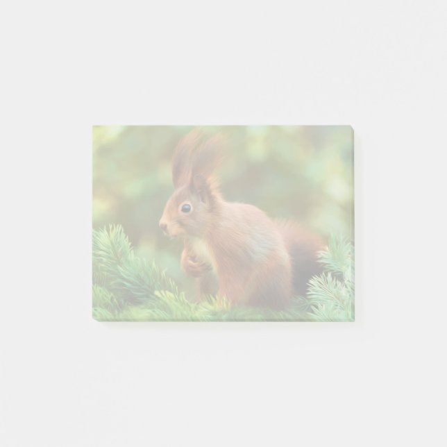 Post-it® Écureuil sur un arbre (Devant)