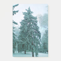 Épinette avec de la glace