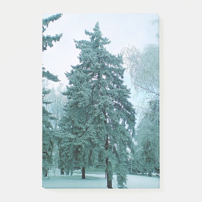 Post-it® Épinette avec de la glace (Devant)