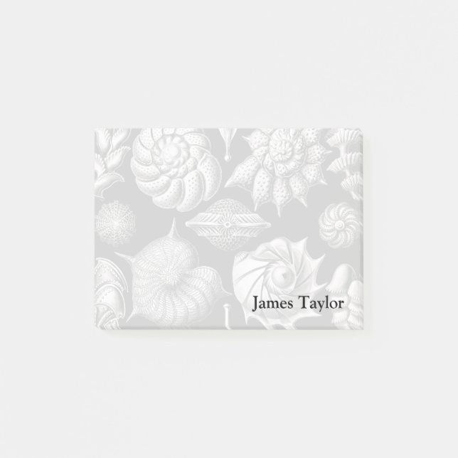 Post-it® Ernst Haeckel Thalamophora II (Devant)