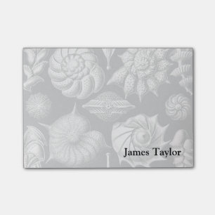 Post-it® Ernst Haeckel Thalamophora II