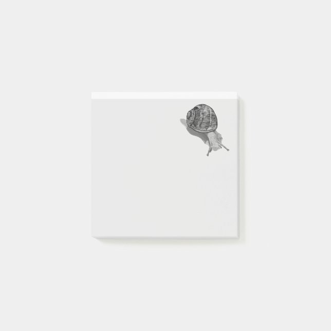 Post-it® Escargot peint (Devant)