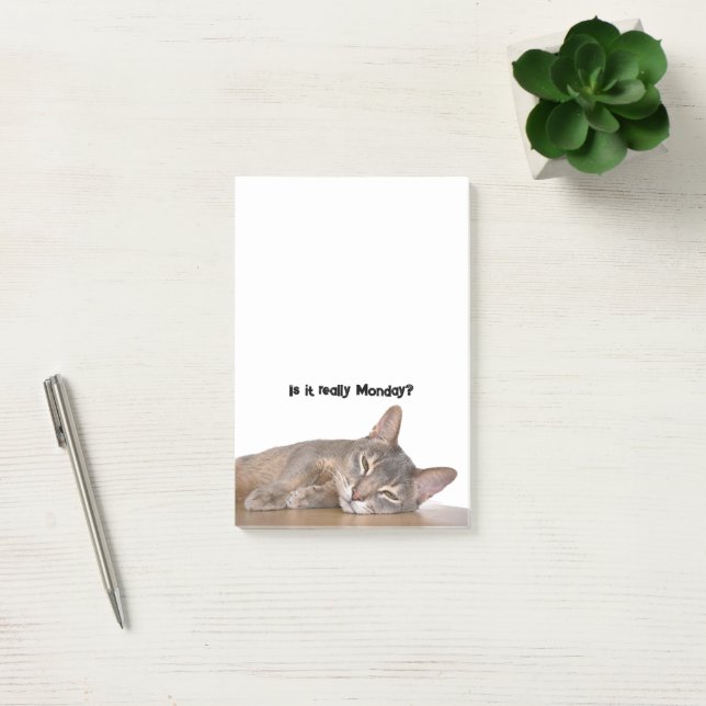 Post-it® Est-Ce Vraiment Lundi ? Mème de chat Abyssinien dr (Bureau)