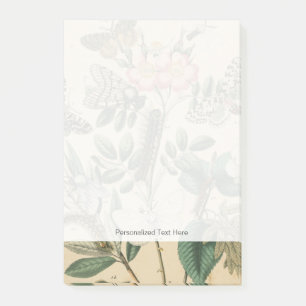 Post-it® Étapes de la vie des papillons par Vision Studio