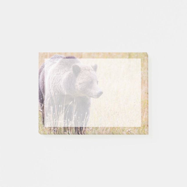 Post-it® États-Unis, Wyoming, Parc national de Yellowstone, (Devant)