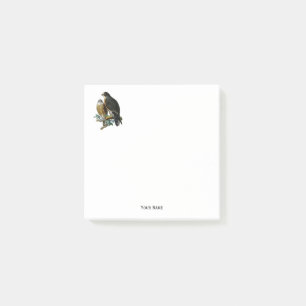 Post-it® Falcons stylisés vintages sur la branche