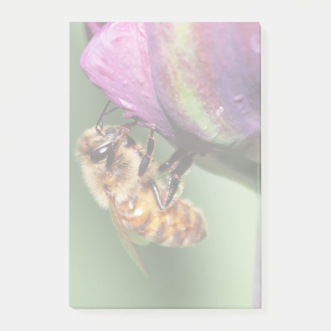 Post-it® Fallen Fuzzy Little Bee (Devant)