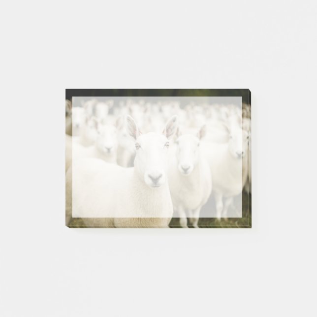 Post-it® Fermes | Troupeau de moutons (Devant)