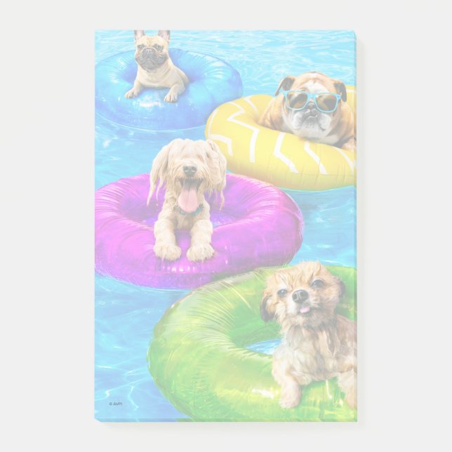 Post-it® Fête au bassin pour chiens (Devant)
