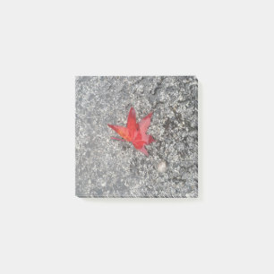 Post-it® Feuille rouge de chute sous la pluie sur route gri